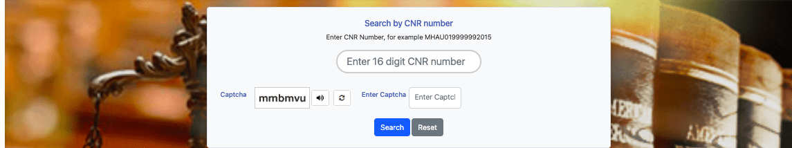 CNR NUMBER Case Search