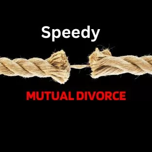 11Speedy Mutual Divorce